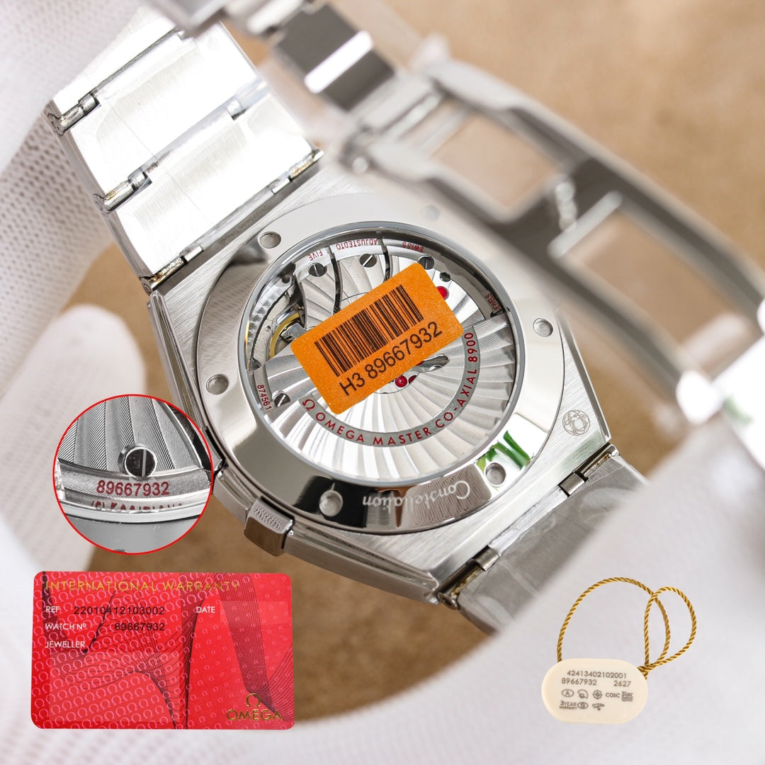 Meteorite Face -Black - Silver 904L Steel- Automatic - 41mm